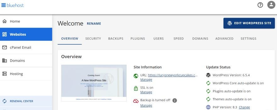 Bluehost website backend dashboard Screenshot of Bluehost's dashboard complete with different tabs.