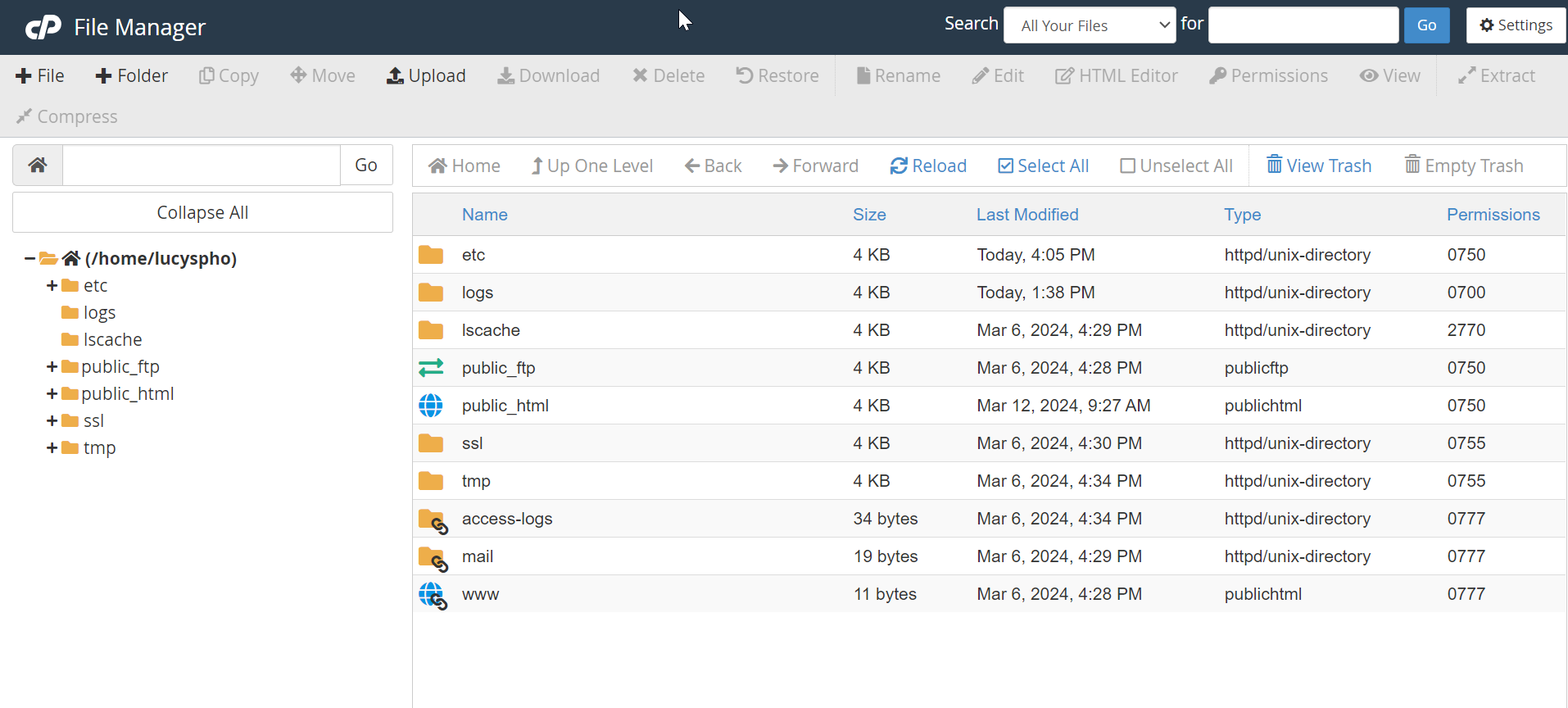 chrome_8NIbycxV3u greengeeks file manager