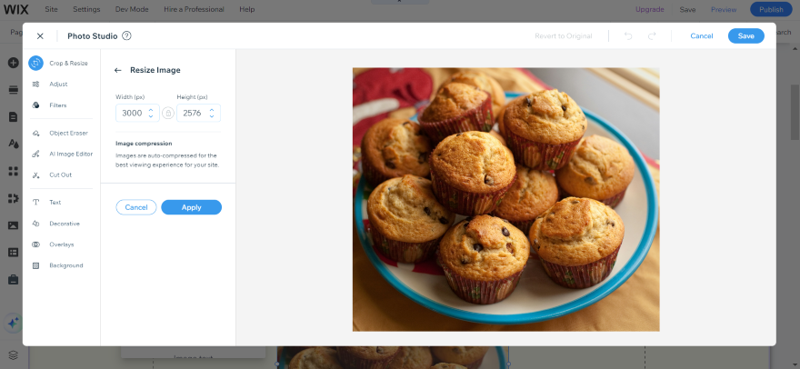 Compressing Images Wix Editor SEO Review Screenshot of the Wix editor and options to compress an image.