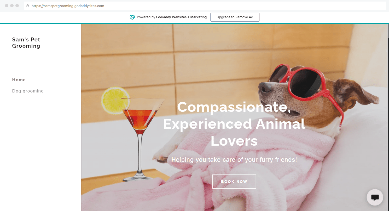 godaddy website homepage Homepage of GoDaddy demo website for Sam's Pet Grooming