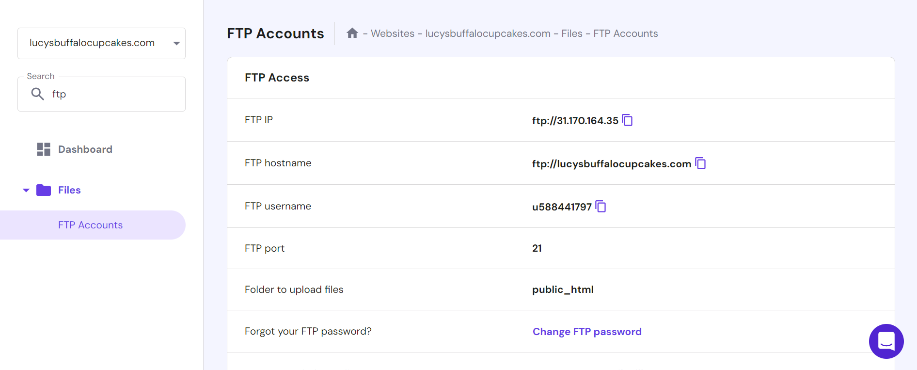 Grammarly.Desktop_g1oTm58s6y Hostinger hPanel FTP page
