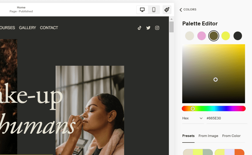 Squarespace color palettes Squarespace's color palette editor, showing the existing website palette and options to choose from presets or upload an image to style from