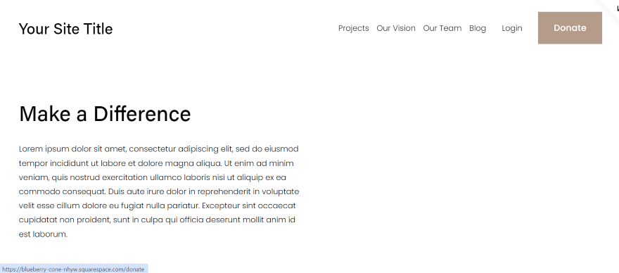 SS Lusaka 2 Screenshot of a Squarespace donation page with a header and text box.