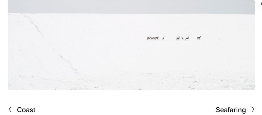 SS Nevins 2 Screenshot of a large photograph features on a Squarespace portfolio page