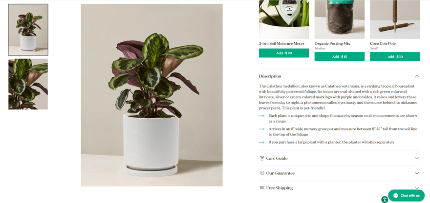 the Sill Product page fo a plant for sale on The Sill's website