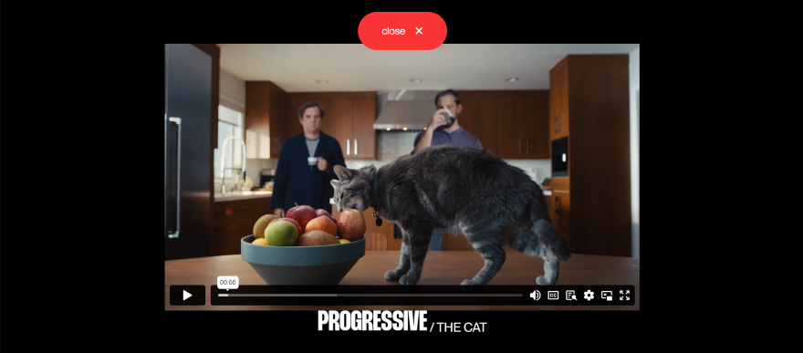 Video Buzzworthy Studio Screenshot of a embedded video showcasing a cat by a fruit bowl